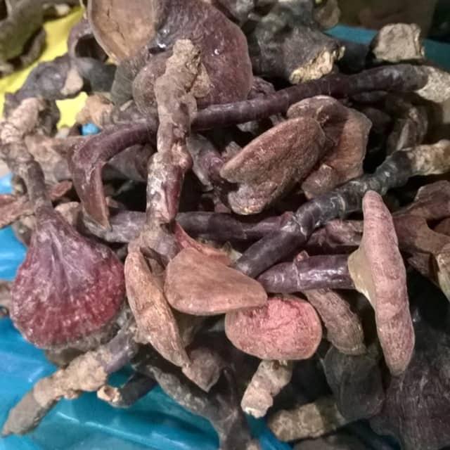 nấm lim xanh 100g