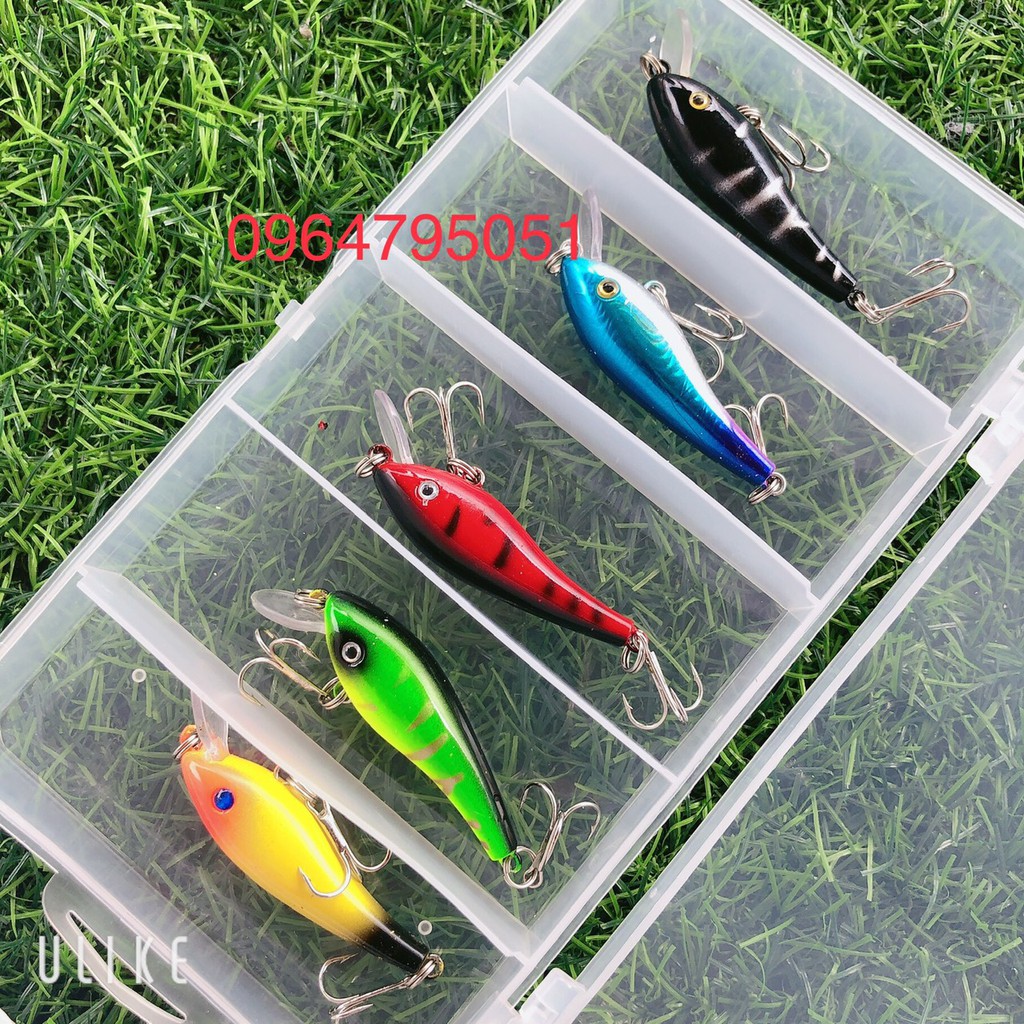 Hộp mồi câu lure giả 5 con cá