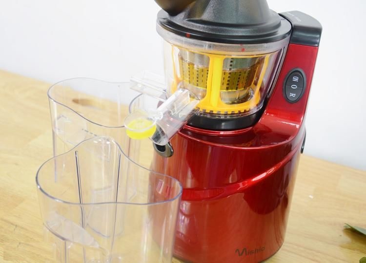 Máy ép chậm trái cây Mishio MK60