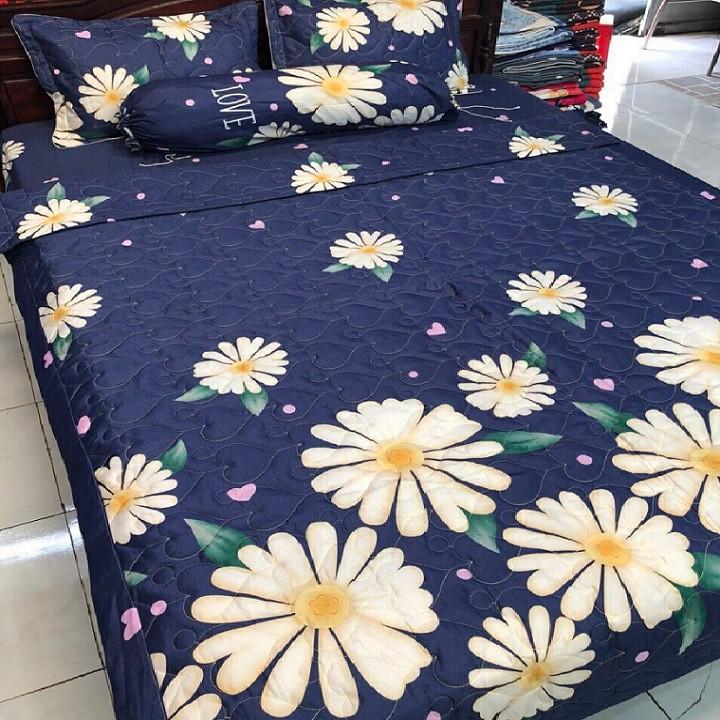 [HCM]bộ chăn mền cotton - bộ chăn mền cotton