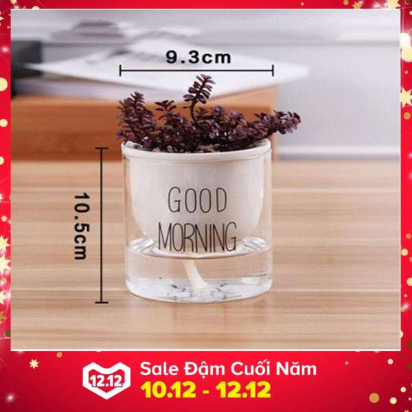 Chậu trồng cây tự tưới nước Good Morning