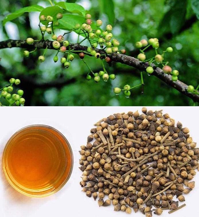 1kg Nụ vối khô thơm, sạch