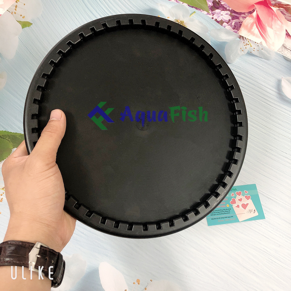 Đĩa Sủi Mỹ SSI Cho Hồ Cá Koi, Bể Cá Cảnh (bọt khí ra rất mịn và đều)