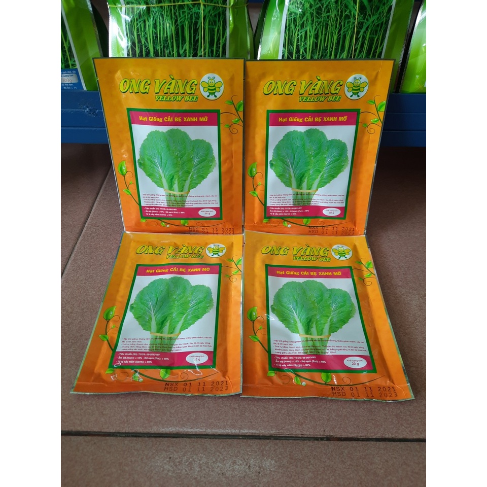Hạt Giống Cải Bẹ Xanh Mỡ, 1 gói 20gr