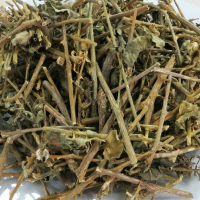 Sỉ toàn quốc 2kg cà gai leo