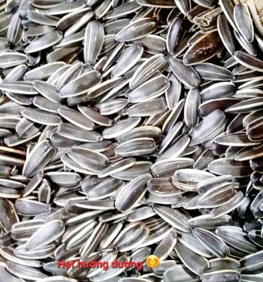 Hạt hướng dương loại 1 Đặc sản 5S