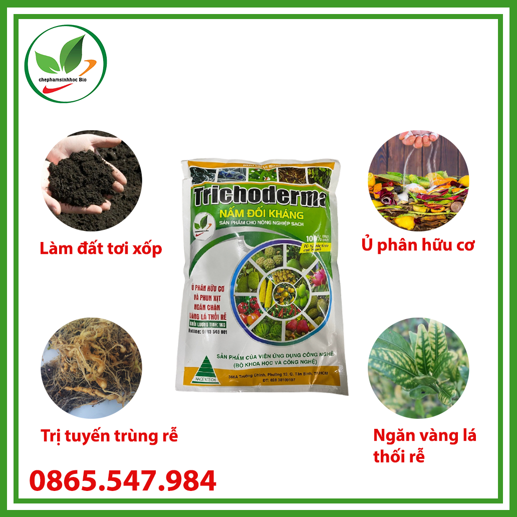 Nấm ủ Trichoderma dạng bào tử chịu nhiệt cao cấp. Túi 1kg