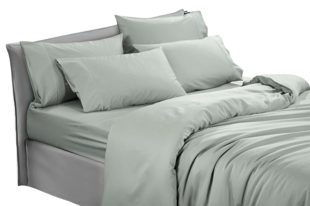 Bộ Ga và Vỏ Chăn Akemi Cotton Select Affinity gồm 6 món, (King/Queen)