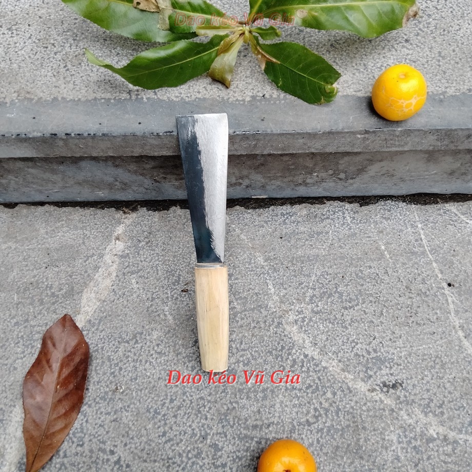 2 Dao gọt hoa quả dao bổ cau làm rau