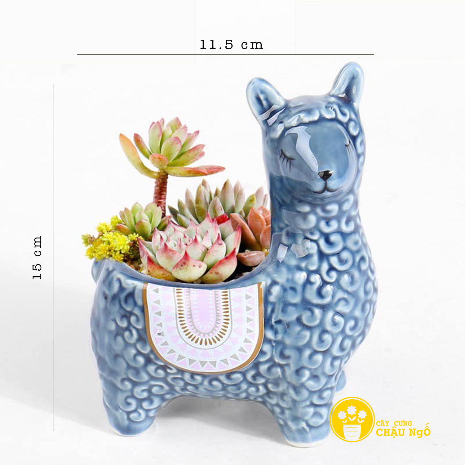 Chậu gốm lạc đà