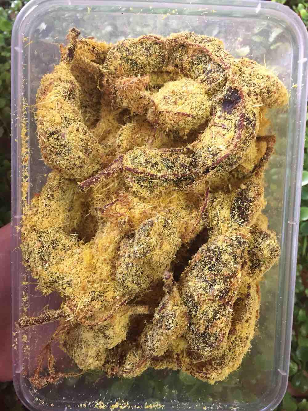 Ô Mai Me Gừng 500g