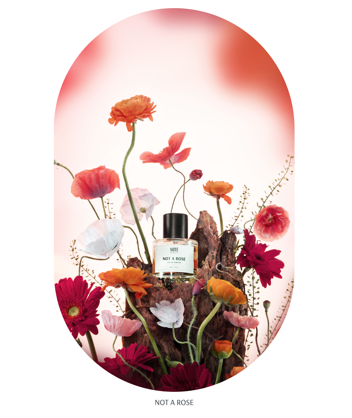 HCM - Nước hoa Not A Rose by NOTE - The Scent Lab