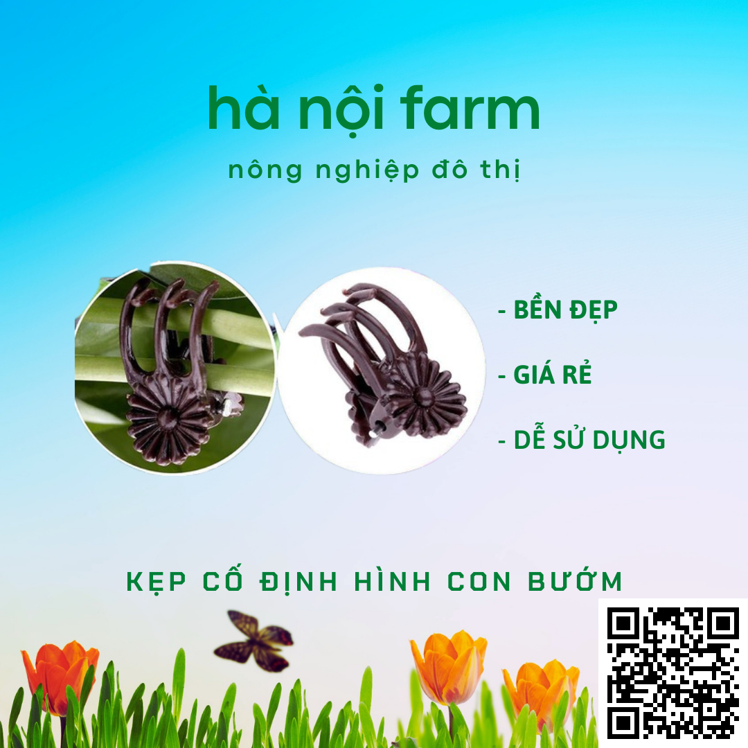 100 kẹp bướm cố định cho lan (loại nhỏ)