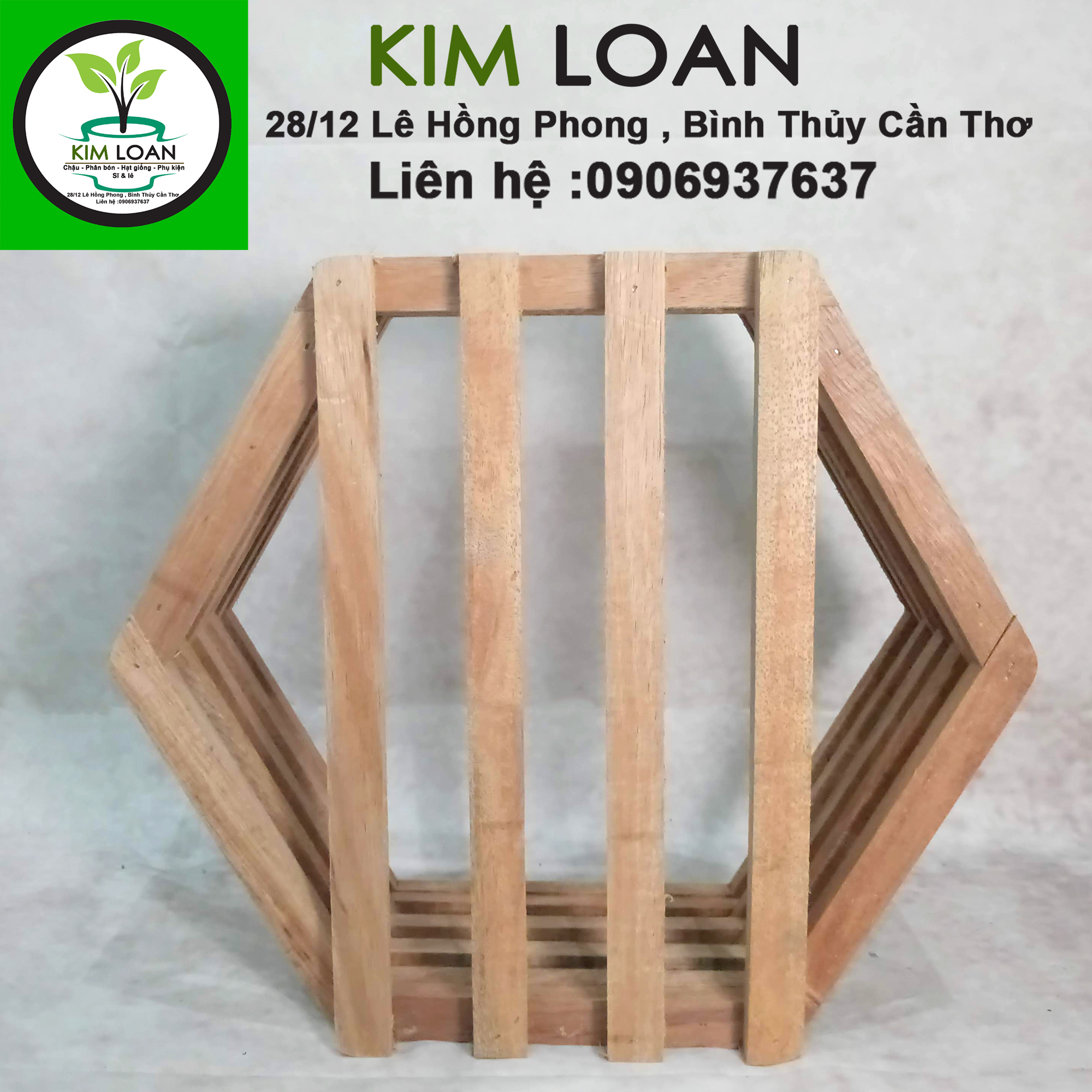 Chậu lan gỗ lục giác 27x12cm