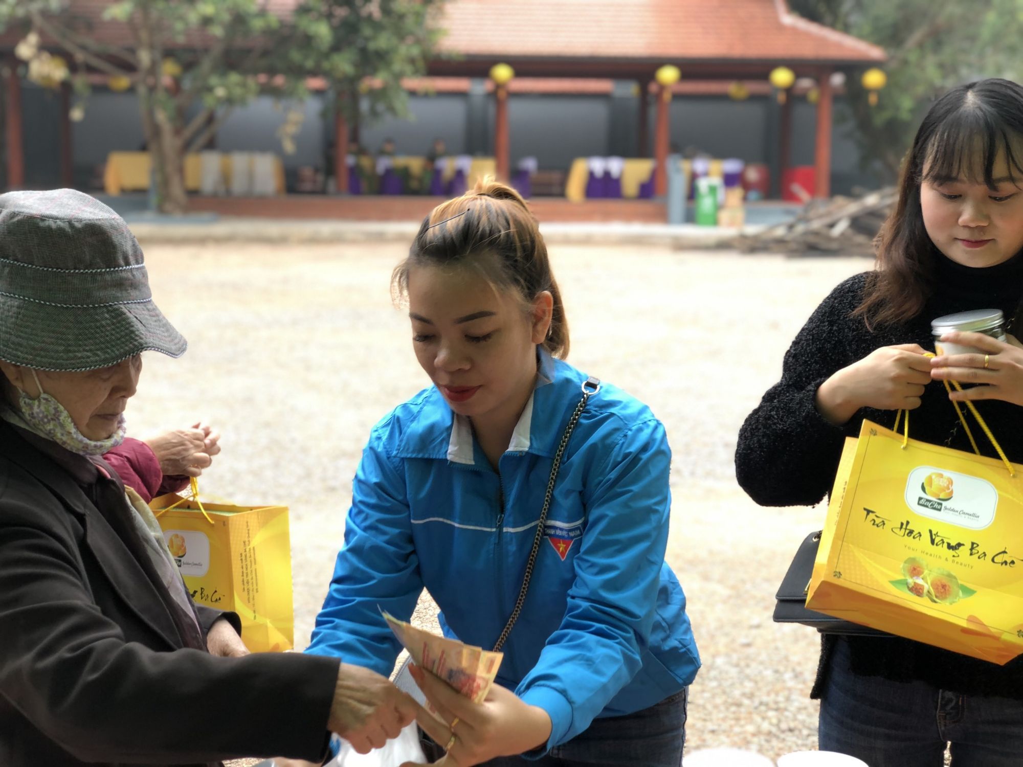 Hoa Trà hoa vàng Ba Chẽ