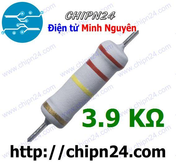 Điện trở 3k9 2w