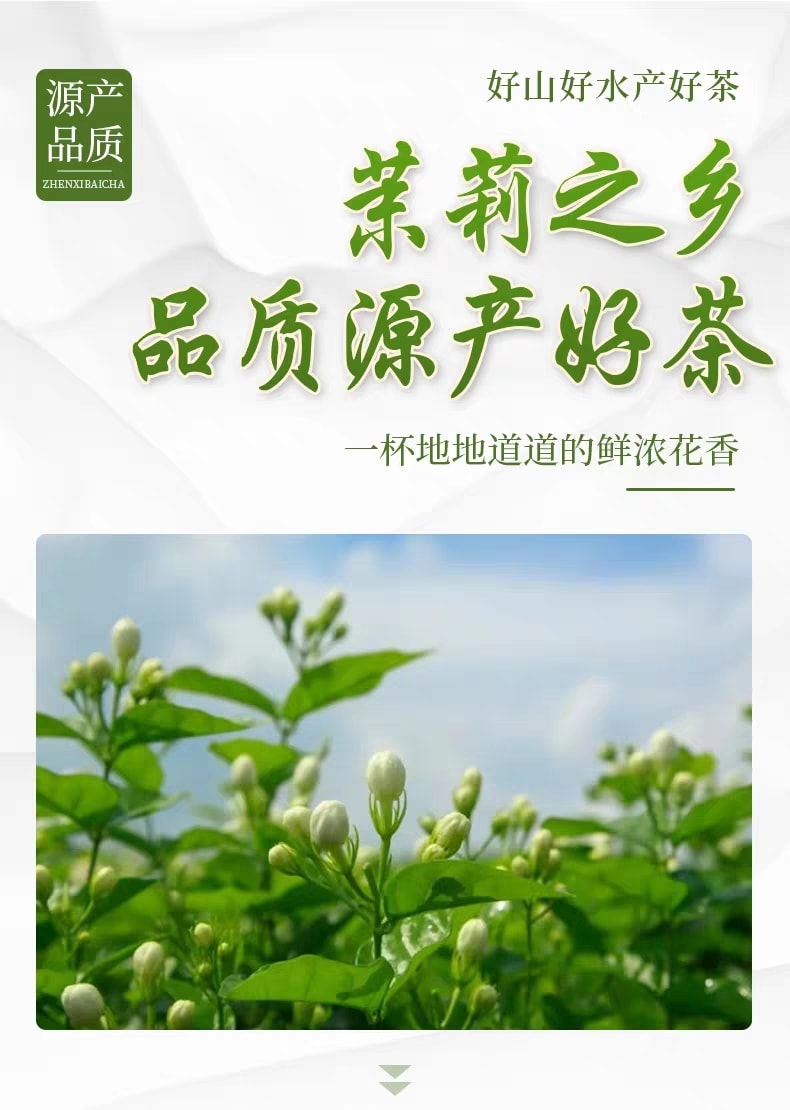 [HCM]trà hoa nhài ( hoa lài )