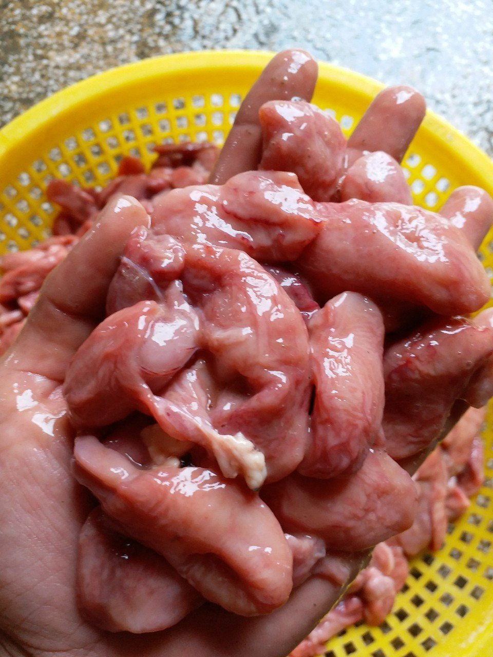 1Kg Bao Tử Cá Basa làm sạch_Giao hỏa tốc