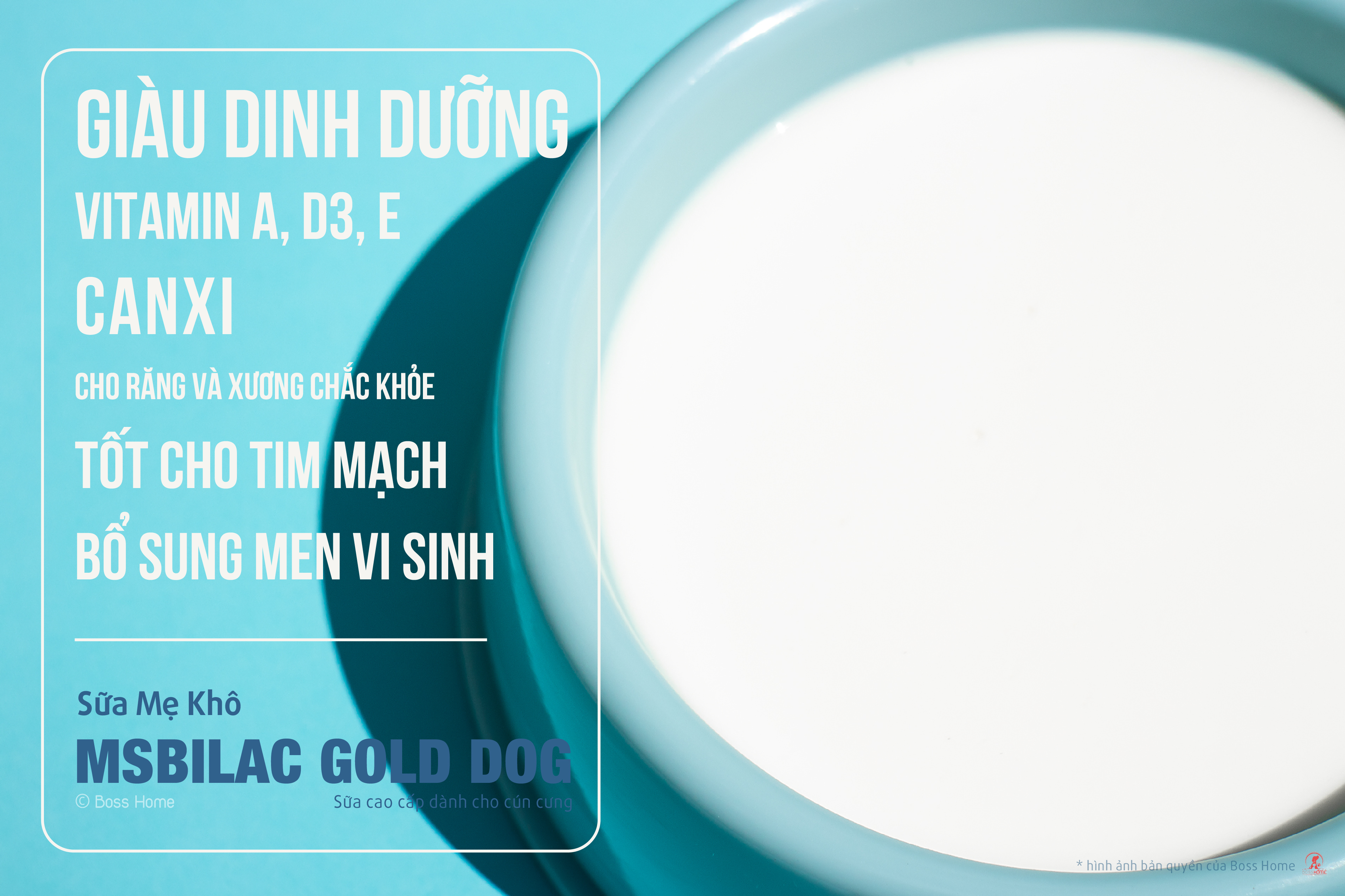 Sữa cho chó cao cấp Msbilac Gold Dog 330g