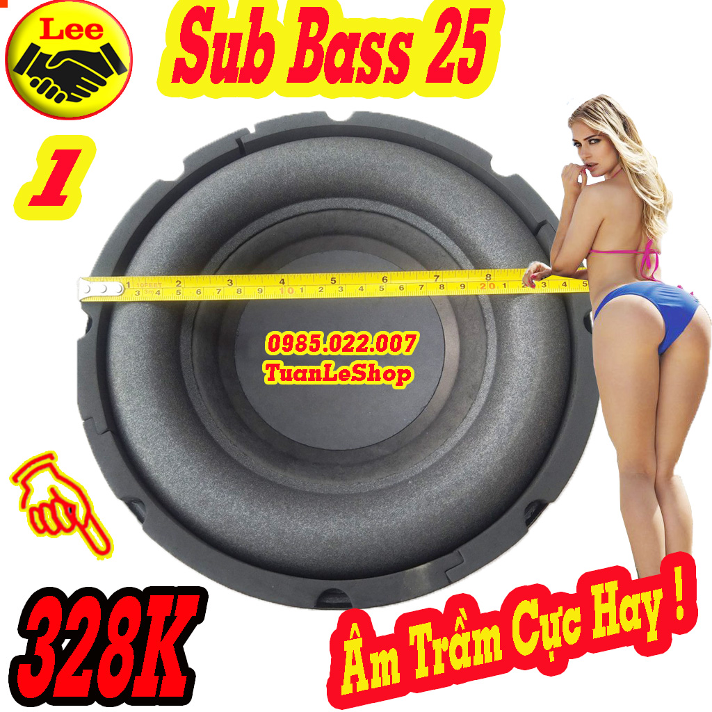 LOA SIÊU TRẦM 25 - GIÁ 01 LOA SUB 25 - LOA SUB BASS 25