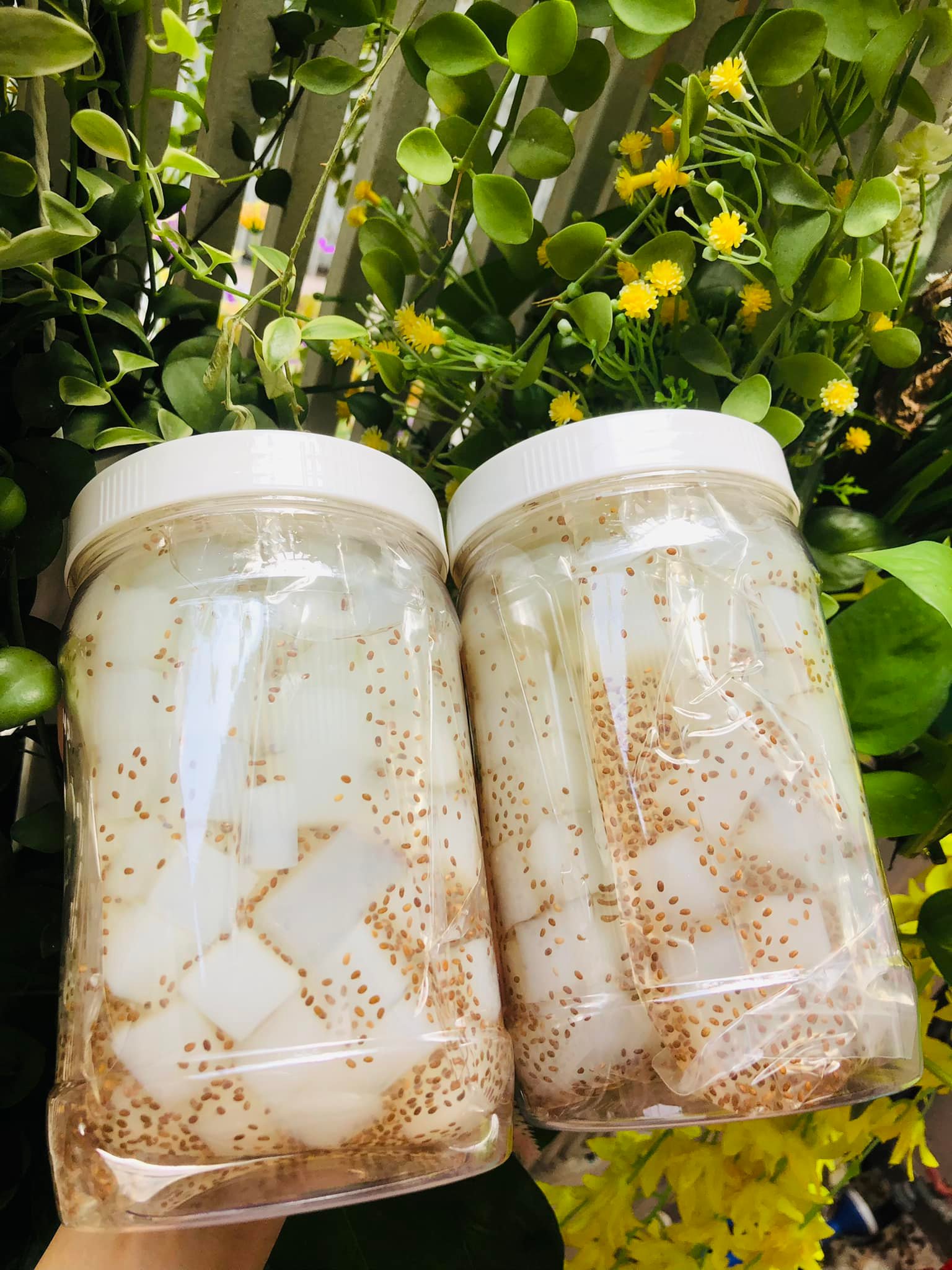 THẠCH DỪA HẠT CHIA HỦ 1 KÝ