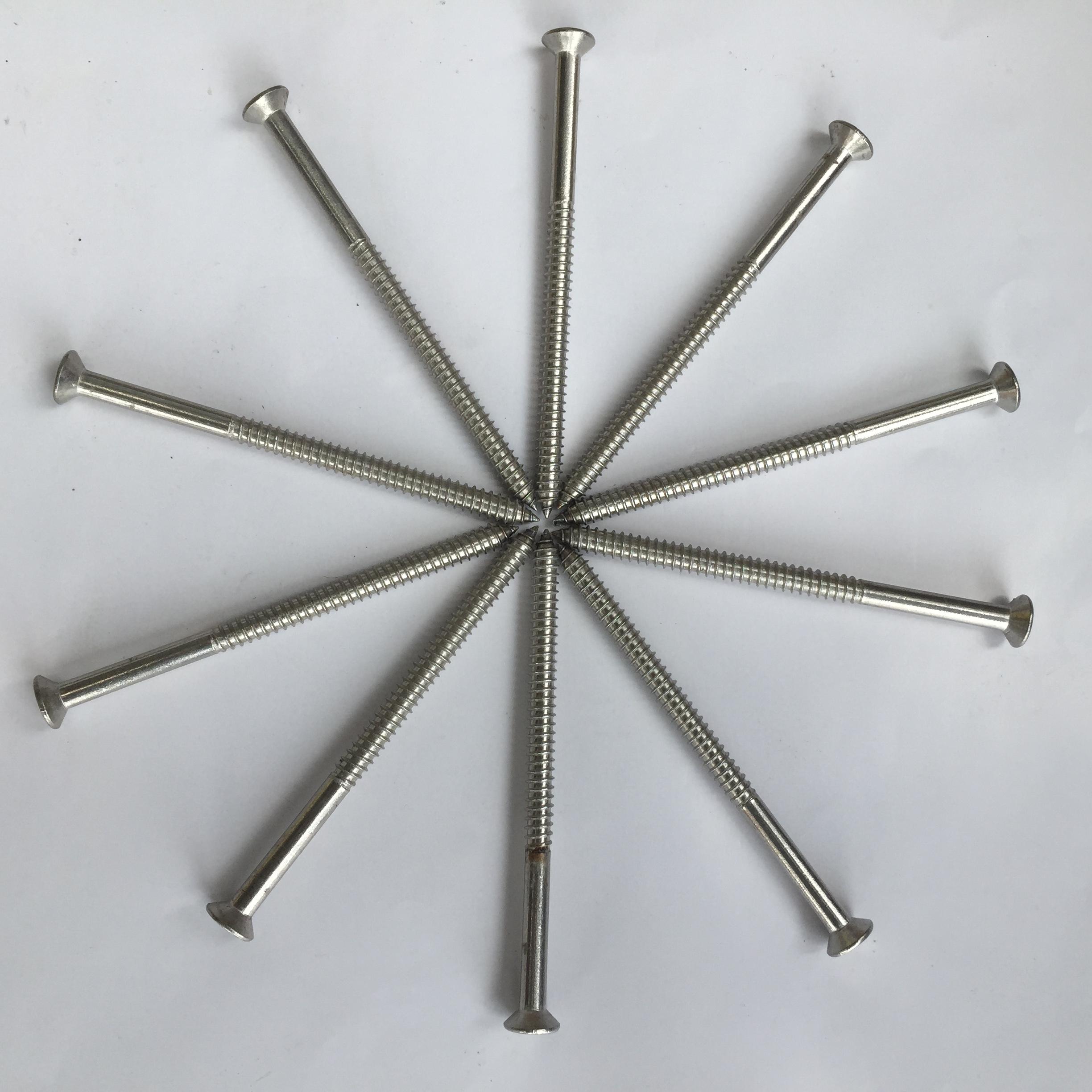50 chiếc vít inox 304 phi 6 dài 10cm