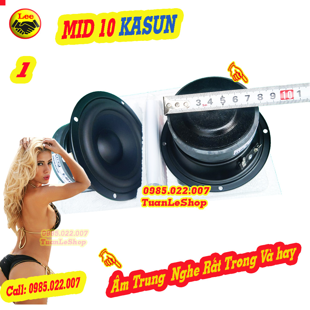 LOA TRUNG 10 KASUN NHẬP KHẨU E4019 - GIÁ 1 CẶP