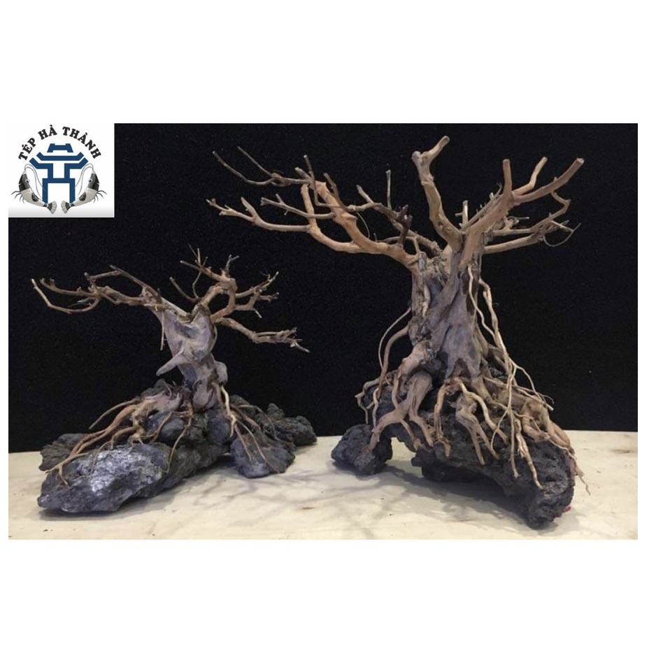 Đá Đen Gia Lai 1 Kg