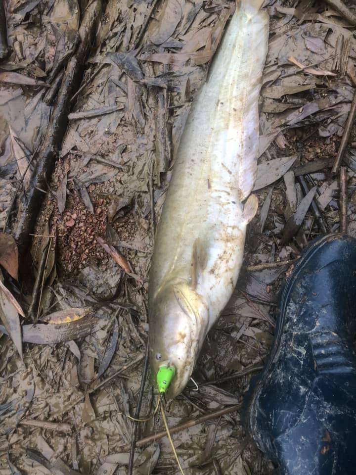 [HCM]Mồi lure chìm F35 TNTlures