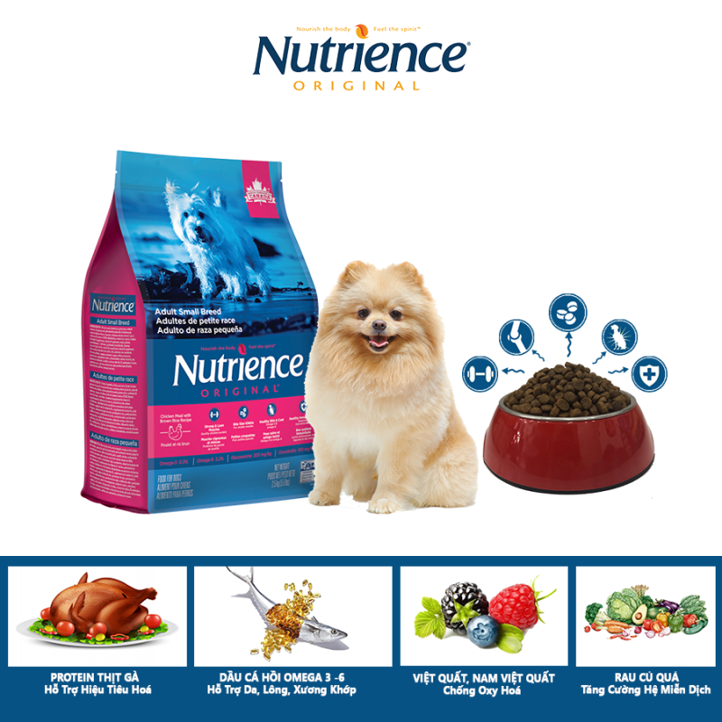 Thức Ăn Cho Chó Phốc Nutrience Original Hỗ Trợ Da Lông Bóng Mượt, Hệ Tiêu Hóa, Hệ Miễn Dịch Khỏe Mạnh - Thịt Gà, Rau Củ Và Trái Cây Tự Nhiên
