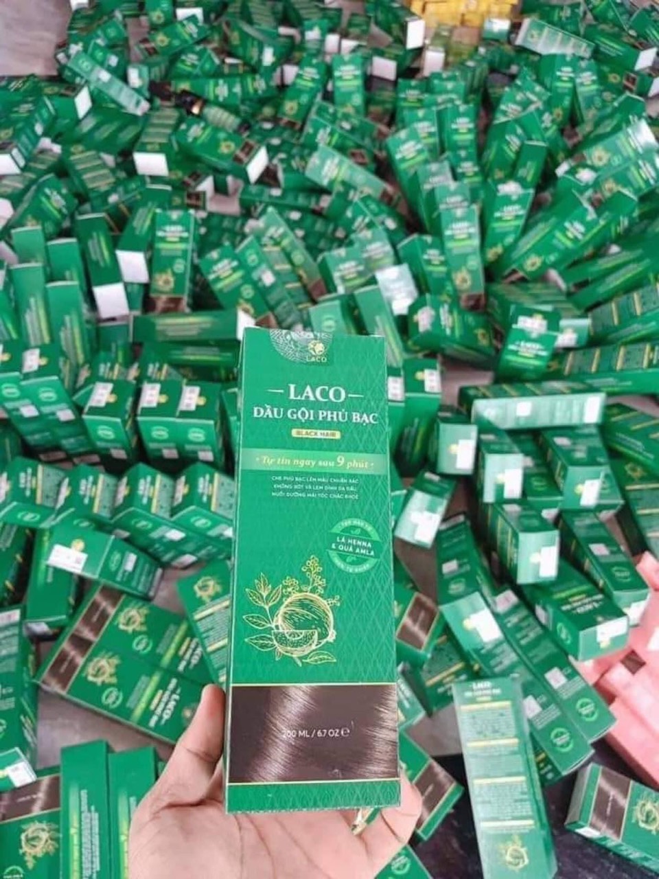 Dầu gội phủ bạc Laco
