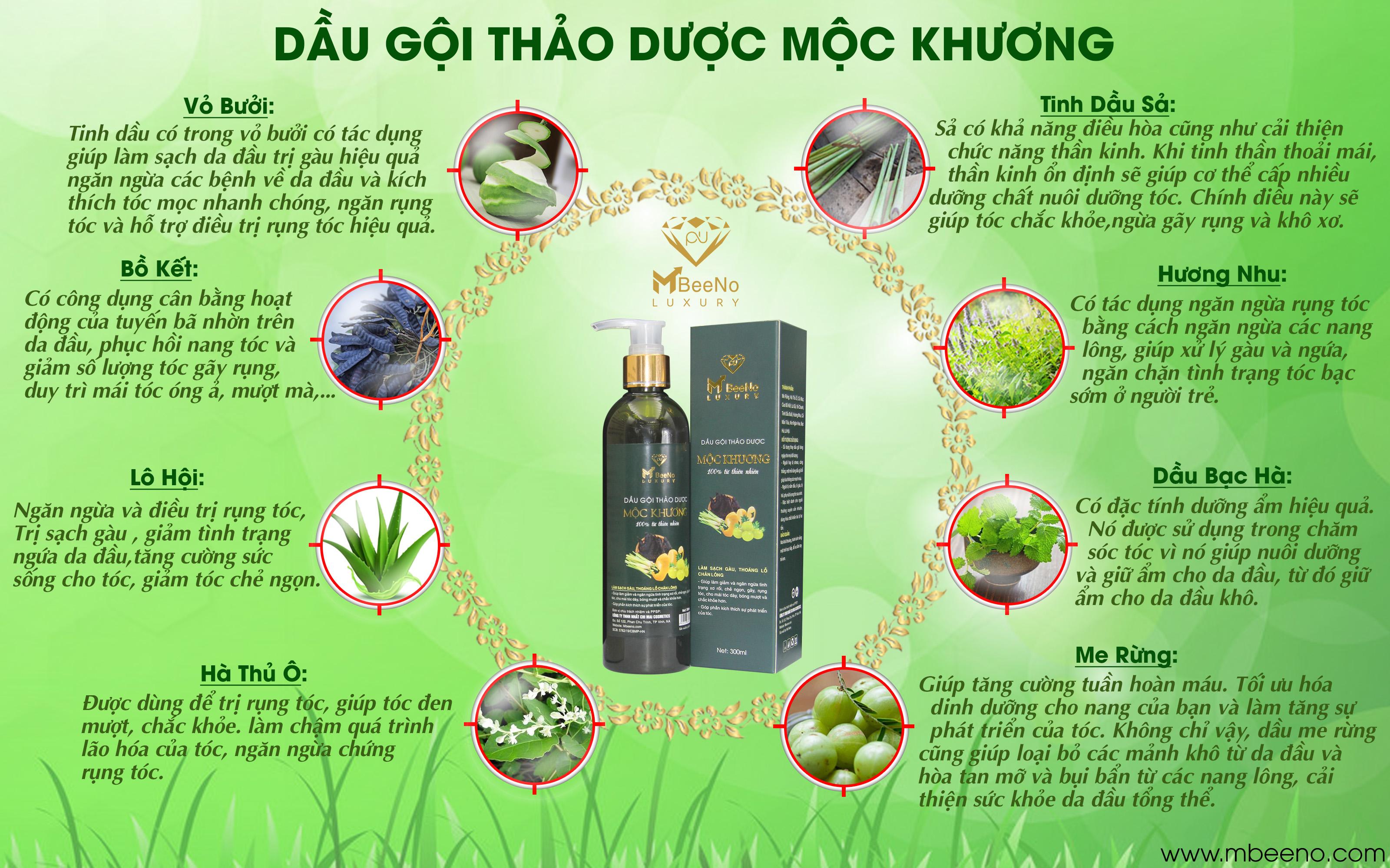 [CHÍNH HÃNG] Dầu Gội Thảo Dược Mộc Khương