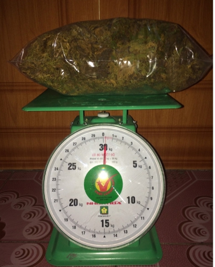 Rêu rừng khô 500g - Hàng chuẩn