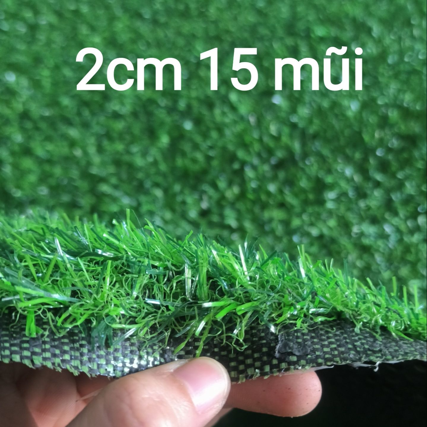 (50cm x 50cm) Thảm cỏ nhân tạo 2cm giá rẻ (quý khách đọc kỹ mô tả)