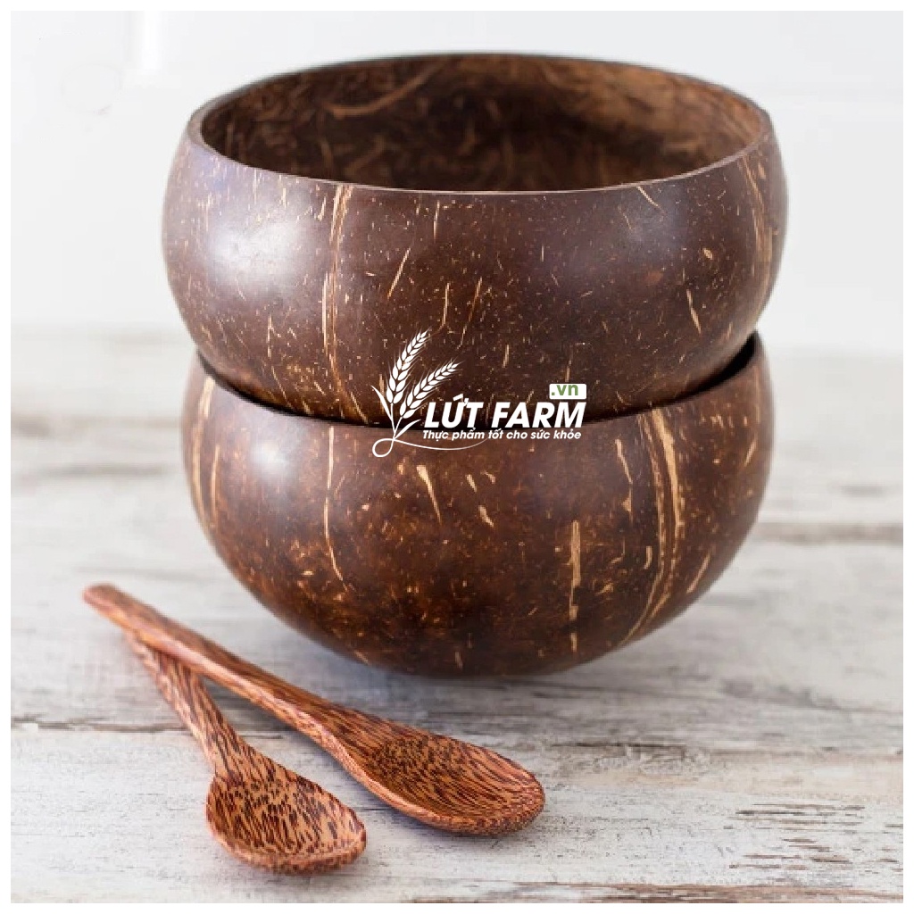 Bát Gáo Dừa LỨT FARM Cao 6,8cm