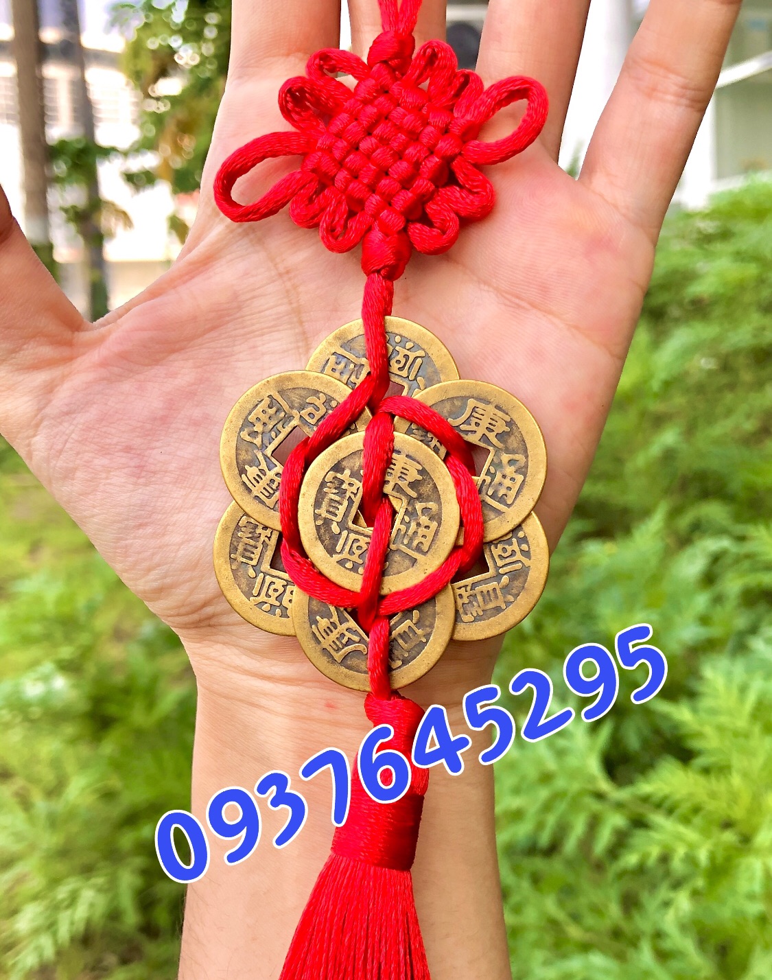 Xâu tiền mai hoa lục toàn