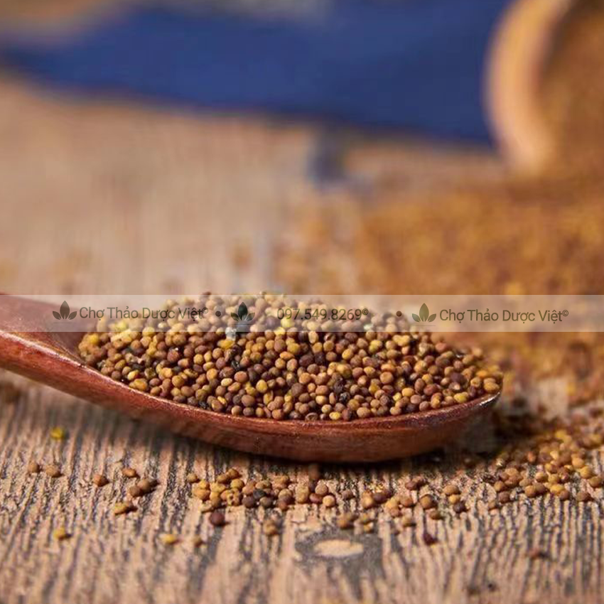 Bạch giới tử hữu cơ 100g ( Hạt cải trắng giảm ho, tiêu đàm) - Chợ Thảo Dược Việt