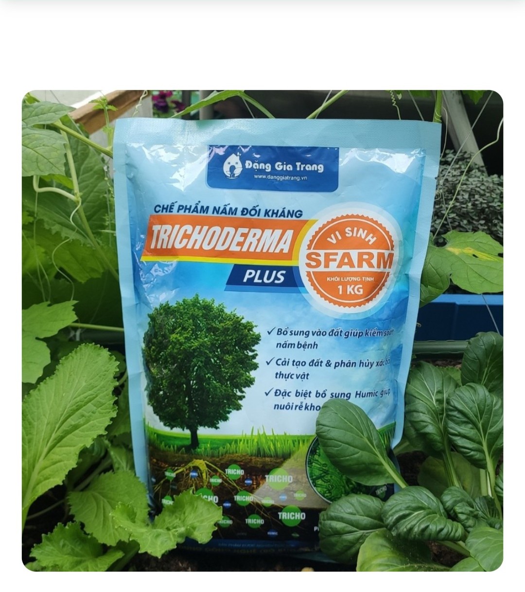 Trichoderma plus chế phẩm nấm đối kháng vi sinh Sfarm 1kg