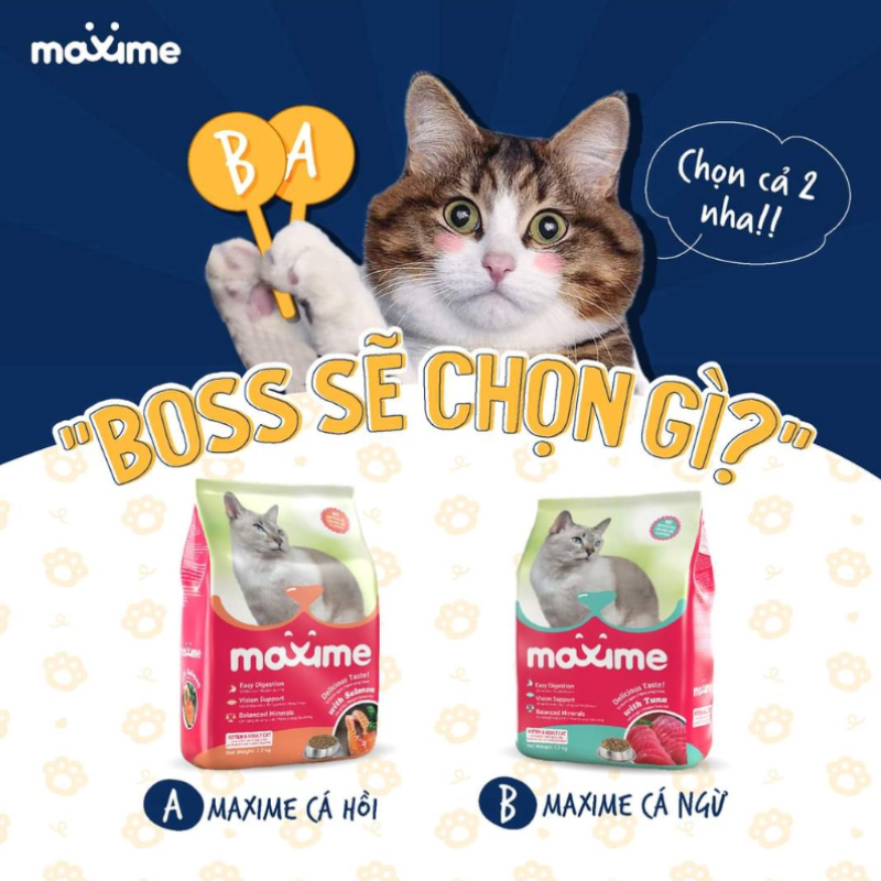 Thức Ăn Hạt Cho Mèo Maxime Cho Mèo Mọi Lứa Tuổi - Yan Pet