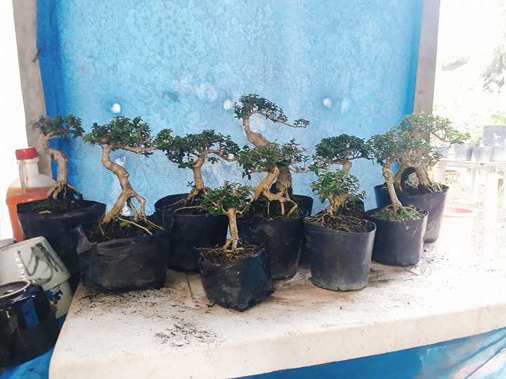 SAM HƯƠNG siêu mini để bàn CỰC ĐẸP