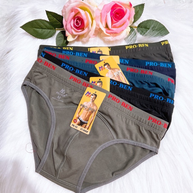 Quần lót nam thun lạnh Pro Ben lưng nhỏ