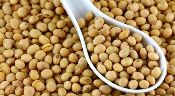 1kg Đậu Nành ta/ Đỗ tương quê Nam Định/ hạt đậu nành sống/ Đậu nành sạch