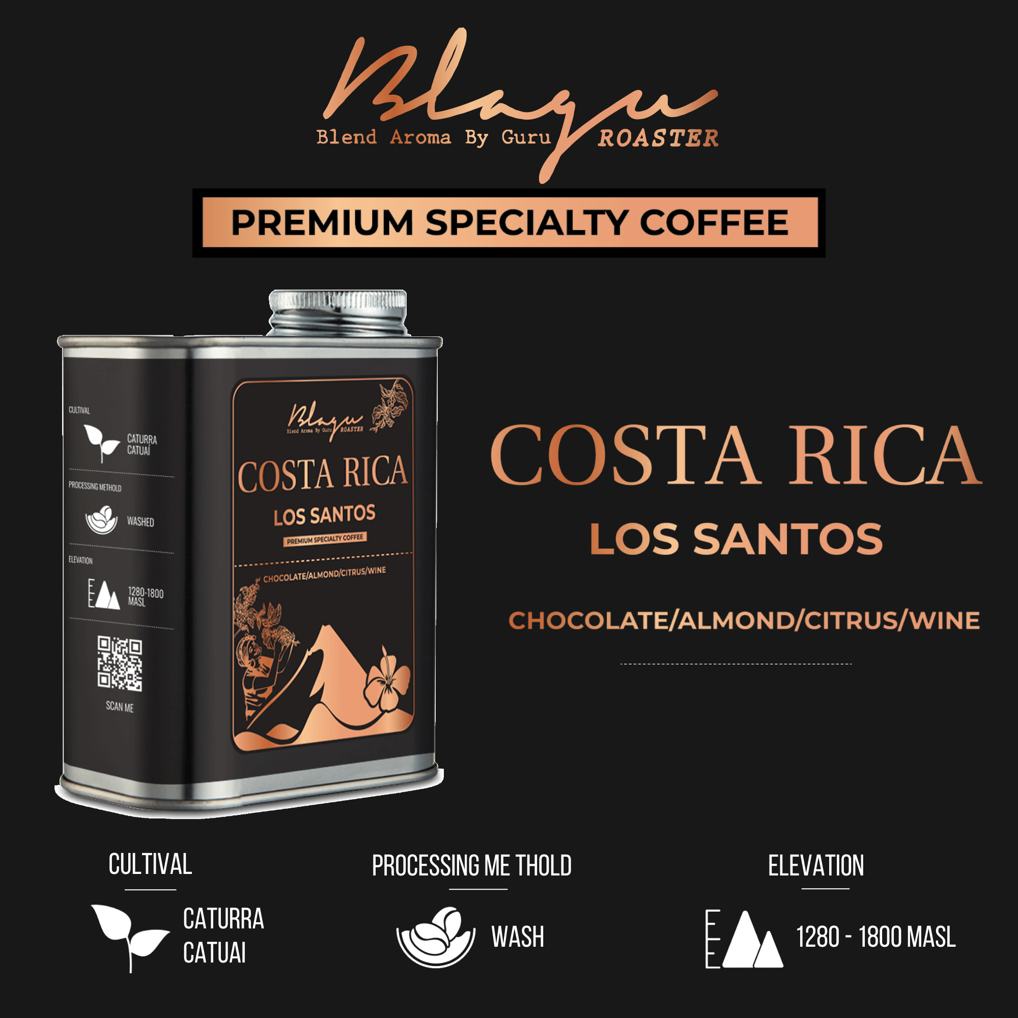 [Premium] Cà Phê Blagu Đã Rang Costa Rica Los Santos - Medium - 250g