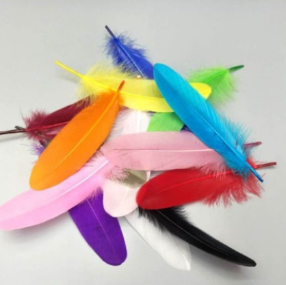 2-5-10 lông vũ cứng 15-20cm nhiều màu