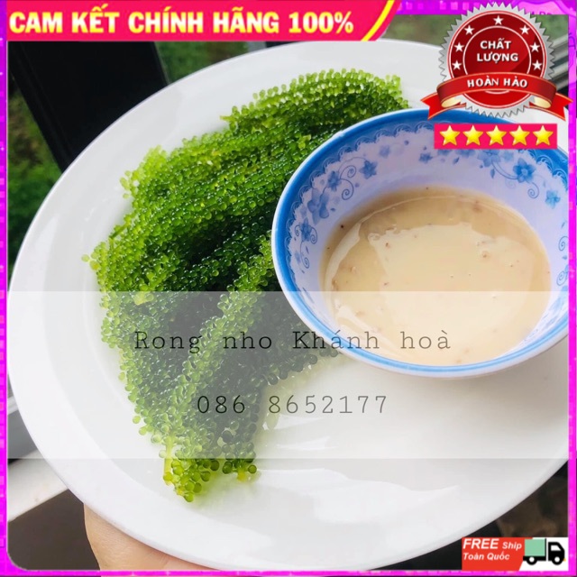 Rong nho tách nước tỉnh Khánh Hoà-giá ưu đãi bất ngờ