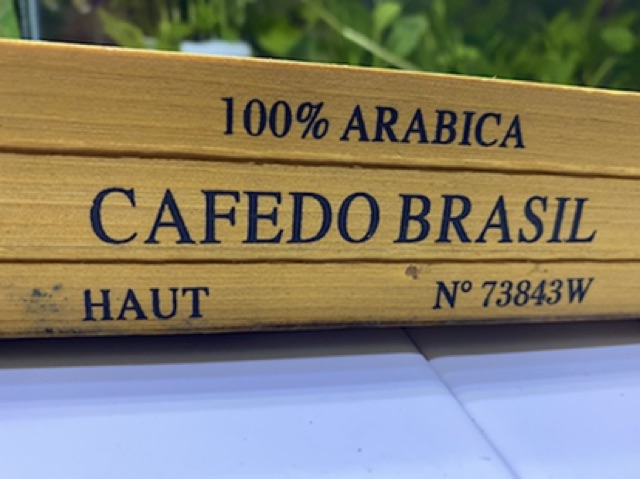 SEN ĐÁ TRỒNG CHẬU GỖ CEFODO