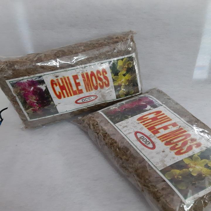 [HCM]Dớn chile giữ ẩm cho lan - gói 100 gram
