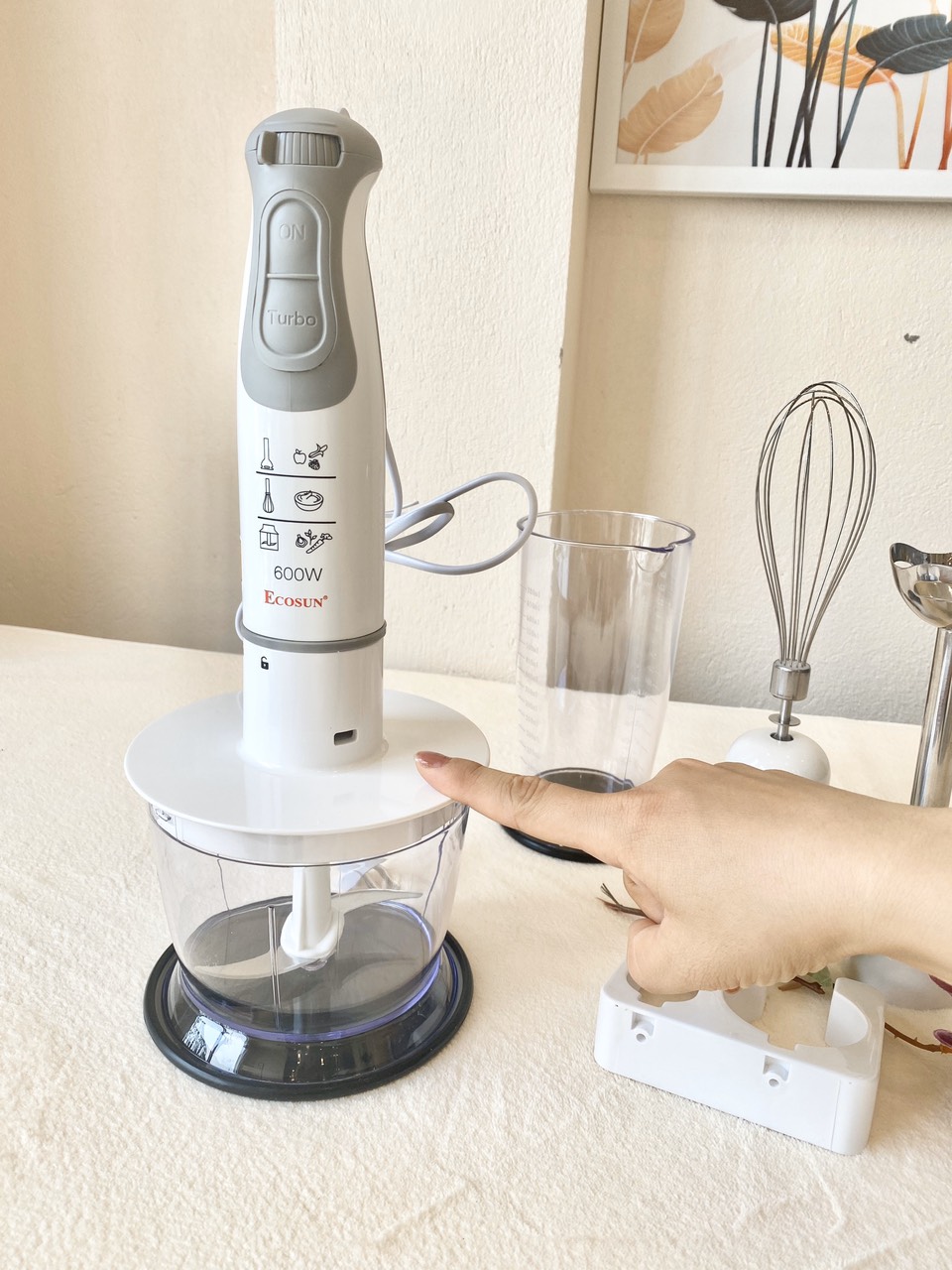 MÁY XAY CẦM TAY ECOSUN HB1920