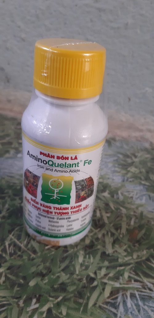 Phân bón bổ sung sắt Amino Fe chai 100ml