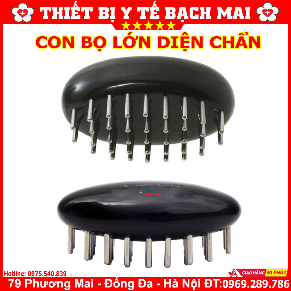 Con Bọ Lớn Diện Chẩn